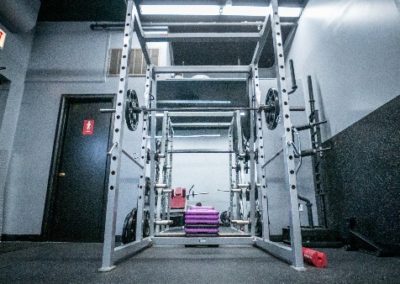 squat rack steel fitness morton grove